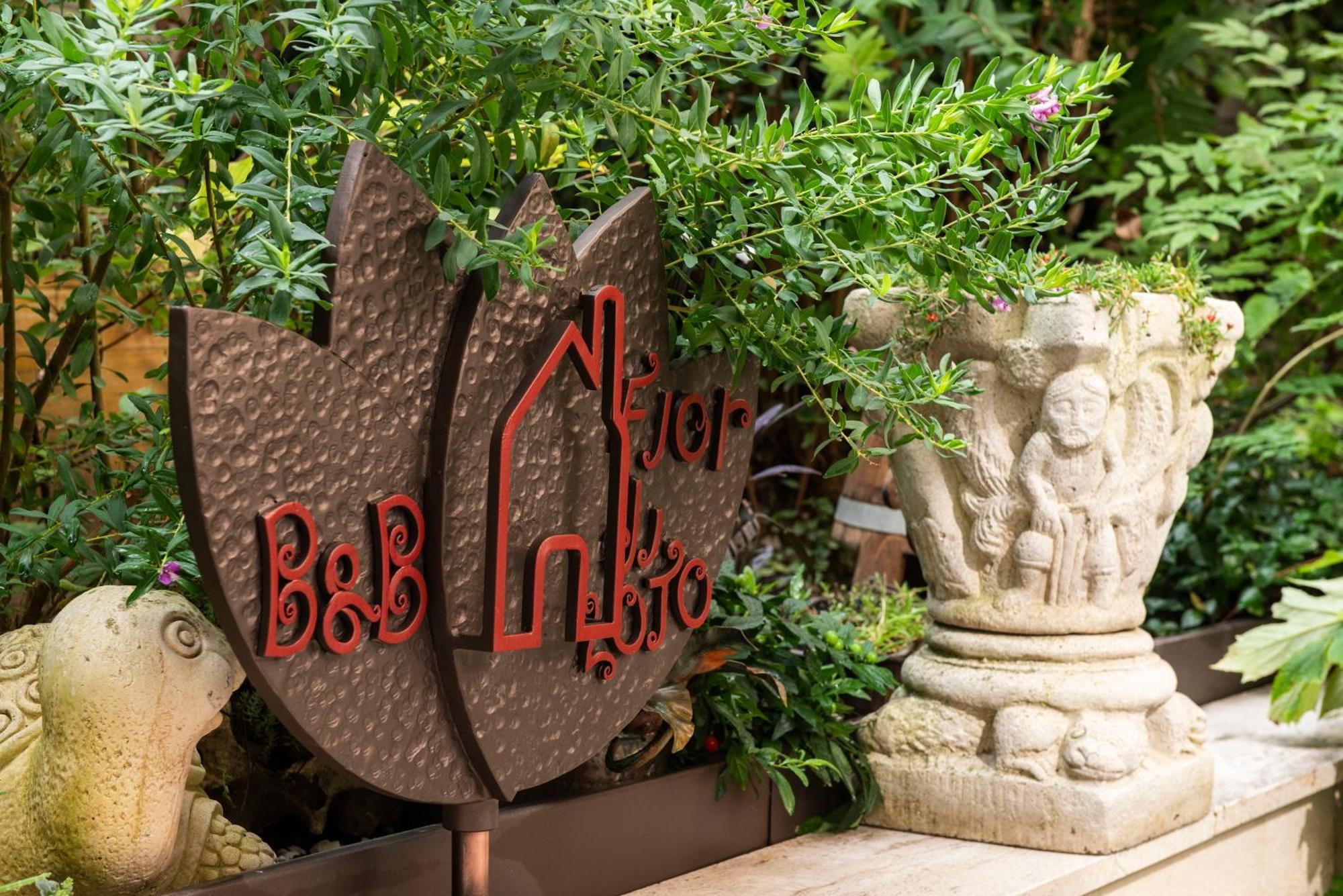 Fiordiloto B&B 4 Stars Alba  Exterior foto